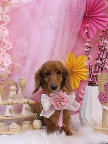 20250302しろくん